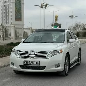 Toyota Venza 2009