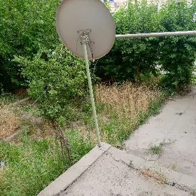 антена