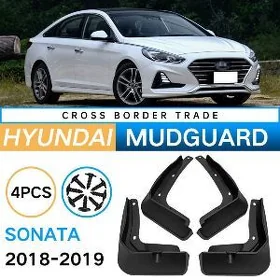 Sonata brazgawik
