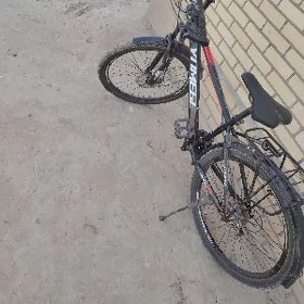 26lyk sport