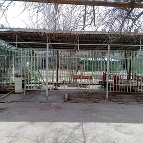 Беседка  с шифером
