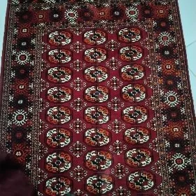 GADYMI EL HALI