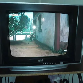 Televizor