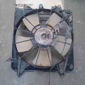 elektro lopus