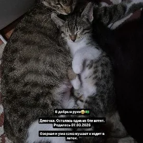 в добрые руки 🥺