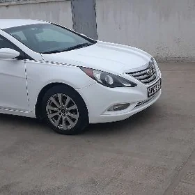 Hyundai Sonata 2010