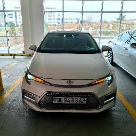 Toyota Corolla 2020