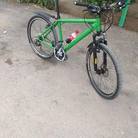 tigir 26 lyk arginal