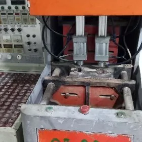 Baklaşka çişiryan stanok