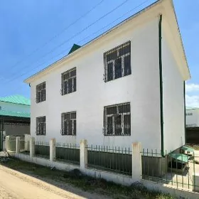 Satlyk Anew Gos Kotež! 8sotyk