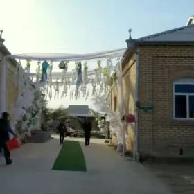 TOÝ BEZEG HOWLY UCİN