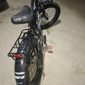 uly ayak tigir