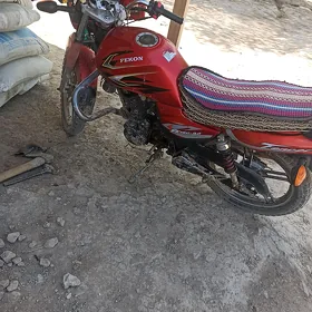 Fekon FK150-8G 2014