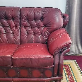 Kreslo koža