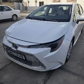 Toyota Corolla 2021