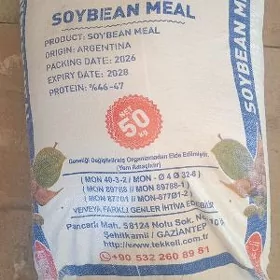 soya  Argentina
