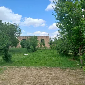 satlyk jaý.
