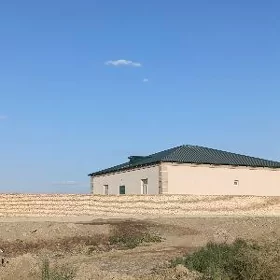Satlyk jay  ipateka