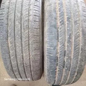 225.70.16.lik bezkamir