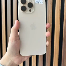 iPhone 16pro max