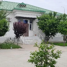 taze zaman 2nji