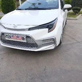 Toyota Corolla 2020