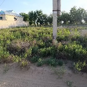 mellek 8