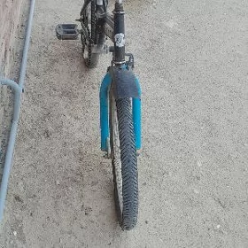 Tigir kama