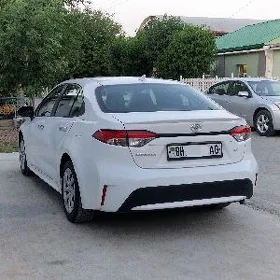 Toyota Corolla 2021