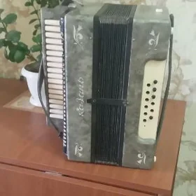 Гармонь