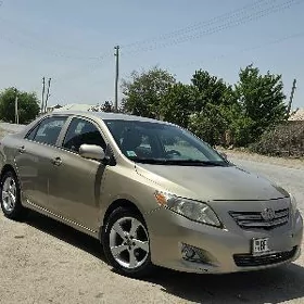 Toyota Corolla 2010
