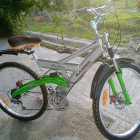 tigir