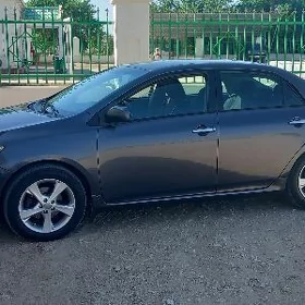 Toyota Corolla 2011