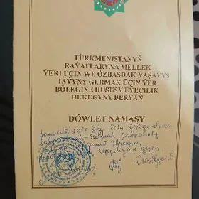 SATLYK JAYLAR