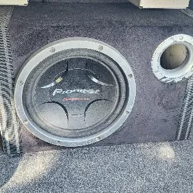 pioneer bocka