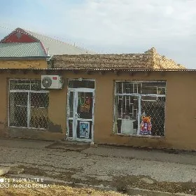 Howly jaý
