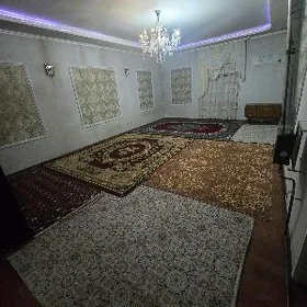 anev magtymguly