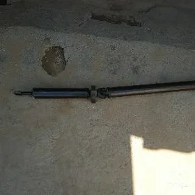 Kardan