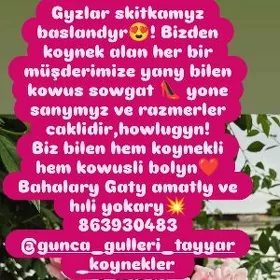 Taze tayyar koynekler