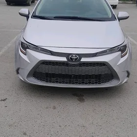 Toyota Corolla 2023