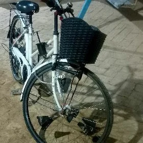27.  velsepet
