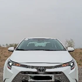 Toyota Corolla 2023