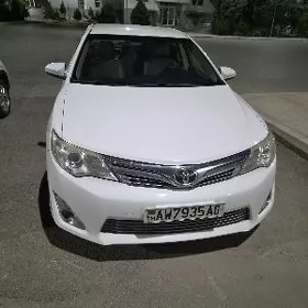 Toyota Camry 2013