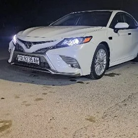 Toyota Camry 2019