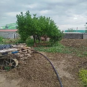 Satlyk mellek 8 sotok Babarap