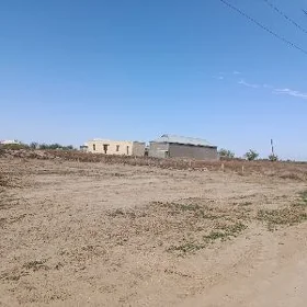 boş mellek