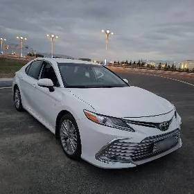 Toyota Camry 2019