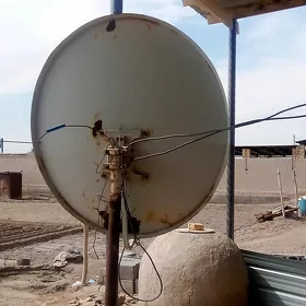 kıçı anten
