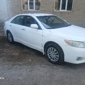 Toyota Camry 2010