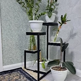 Gül Pasdafga